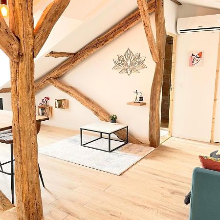 Appartement Victor Hugo - Calme à Auch Extérieur photo